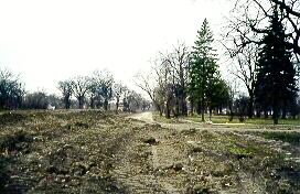 Sherlock Park