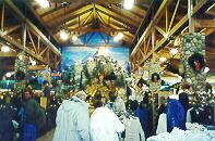 Cabela's