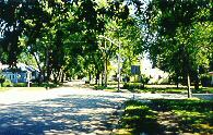 Chestnut St.