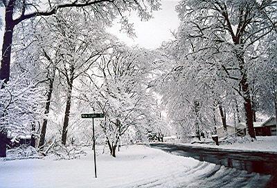 Winter wonderland