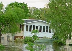 Roseau homes