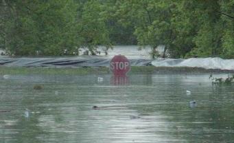 Stop Sign