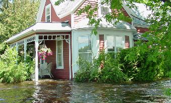 Roseau homes