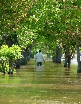 Wading on sidewalk